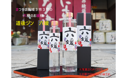 水口酒造 道後ジン「六媛」500ml