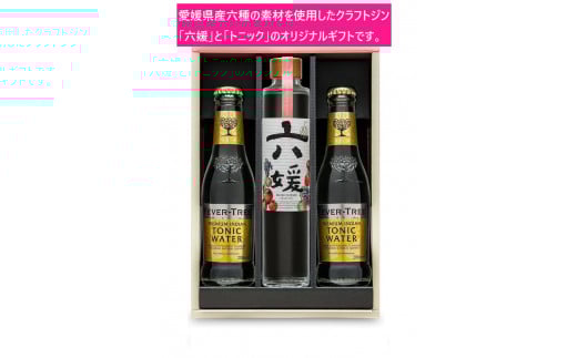 ふるさと納税 松山市 道後ジン・トニックセット(G-200) ふるさと納税 道後ジン 六媛・トニックセット（G6-500）クラフトジン