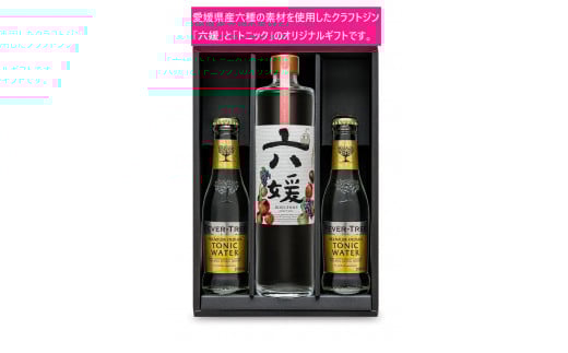 水口酒造 道後ジン「六媛」・トニックセット（G6-500）
