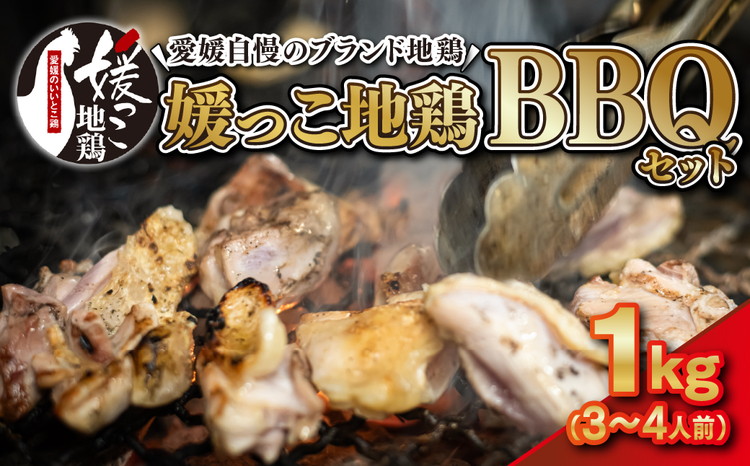 媛っこ地鶏 BBQセット 1kg（3～4人前）｜ モモ ムネ 手羽先 愛媛県 久万高原町 久万山養鶏研究所 地鶏 鶏肉 肉 食感 旨み アウトドア キャンプ 炭火焼 ジューシー お取り寄せ グルメ 国産 冷蔵 ※北海道・沖縄・離島への配送不可