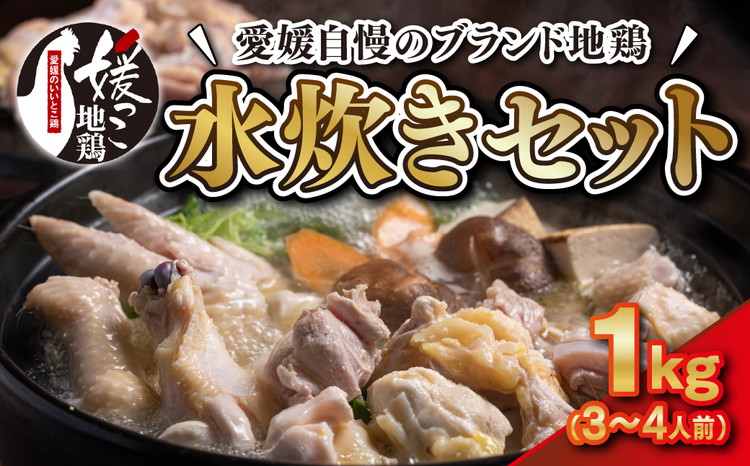 媛っこ地鶏 水炊き用セット（3～4人前）｜ モモ ムネ 手羽先 手羽元 特製スープ 愛媛県 久万高原町 久万山養鶏研究所 地鶏 鶏肉 肉 食感 旨み ヘルシー 和風 鍋 水炊き コラーゲン お取り寄せ グルメ 国産 冷蔵 ※北海道・沖縄・離島への配送不可