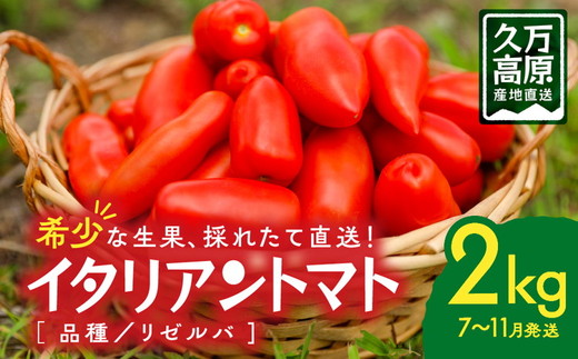イタリアントマト『リゼルバ』2kg＜先行予約＞ | 愛媛県 久万高原町 イタリアン トマト リゼルバ サンマルツァーノ 料理 ピザ パスタ ソース用 スープ 煮込み用 加熱用 炒め物 サラダ ※北海道・沖縄・離島への配送不可 ※2025年7月下旬頃より順次発送予定