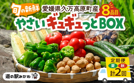 【年2回夏秋定期便】久万高原やさいギュギュっとBOX | 愛媛県 久万高原町 道の駅 みかわ 産地直送 お試し 新鮮 もぎたて 旬の味覚 定期便 夏 7月 秋 11月 発送 年2回 ※離島への配送不可