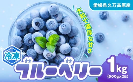 冷凍 ブルーベリー 大粒 1kg (500g×2パック) 5種類ミックス | 国産 愛媛県 久万高原町 農園直送 栽培期間中 農薬不使用 果実 フルーツ 果物 くだもの 朝食 ヨーグルト スムージー ビタミンC 食物繊維 長期保存