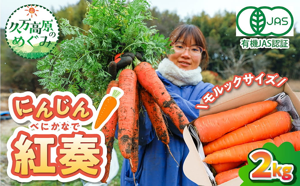 【産地直送】【先行予約】モルックサイズ！？ 特大にんじん（紅奏）2kg ｜ 人参 ニンジン ニンジンジュース 有機 JAS 高原野菜 久万高原町 ※離島への配送不可 ※2026年12月上旬～2027年2月上旬頃に順次発送予定