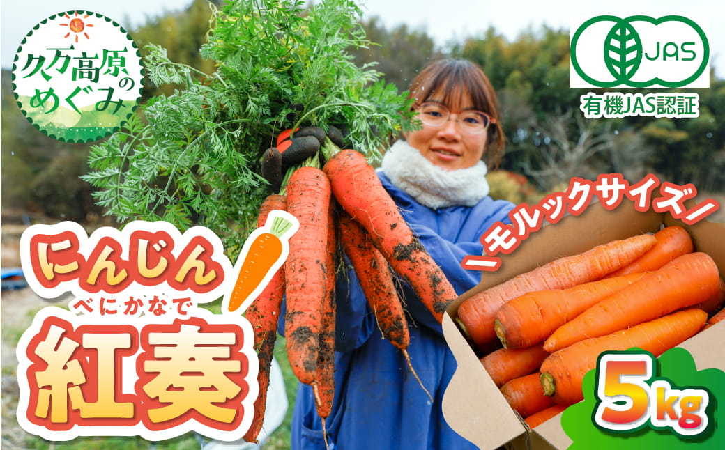 【産地直送】【先行予約】モルックサイズ！？ 特大にんじん（紅奏）5kg ｜ 人参 ニンジン ニンジンジュース 有機 JAS 高原野菜 久万高原町 ※離島への配送不可 ※2026年12月上旬～2027年2月上旬頃に順次発送予定