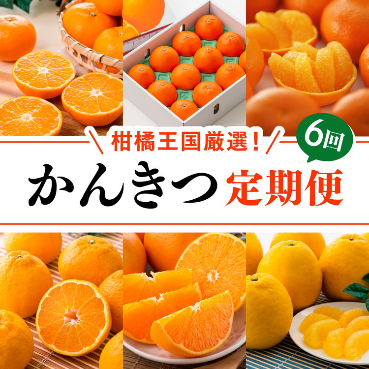 【定期便】【愛媛県共通返礼品】愛媛のかんきつ定期便（全6回）（日の丸みかん・紅まどんな・伊予柑・不知火・せとか・河内晩柑) ｜ みかん 蜜柑 日の丸みかん 紅まどんな 伊予柑 不知火 デコポン せとか ※2025年11月下旬～2026年4月下旬頃に毎月1回発送