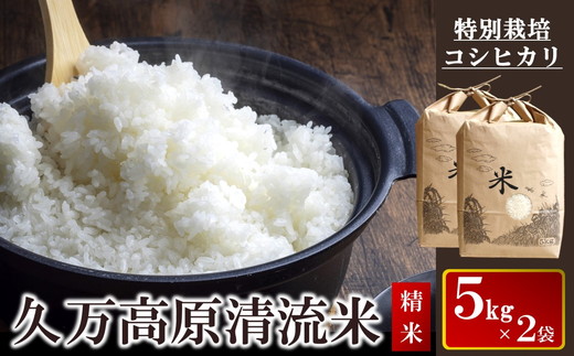 コシヒカリ5kg×2袋 計10kg（精米）｜米 お米 白米 ご飯 ごはん 白ご飯 ライス 自然栽培 コシヒカリ こしひかり 食物繊維 米作り 銘柄 贅沢 おすすめ 料理 香り 特別栽培米 減農薬 低化学肥料 品質 美味しい 食生活 健康食品 安心 安全 食卓 食事 ギフト 愛媛 久万高原町 ※2024年9月中旬頃より順次発送予定 ※離島への配送不可※着日指定不可