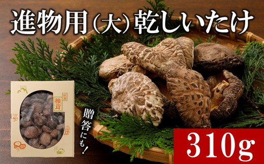 進物用乾しいたけ310g◇ ｜ 原木栽培 干し椎茸 乾椎茸 どんこ しいたけ きのこ 出汁 肉厚 贈答 愛媛 久万高原町　※離島への配送不可 ※2025年2月上旬より順次発送予定