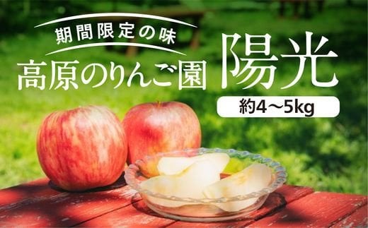 愛媛県久万高原町産「陽光りんご」約4〜5kg ※2023年10月上旬頃〜11月上旬頃に順次発送予定
