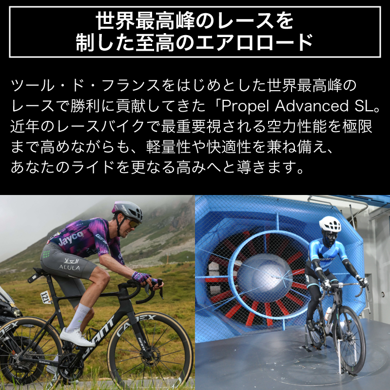 【フレームのみ】GIANT PROPEL ADVANCED SL FRAMESET（カラー：Holy Flare）｜  ジャイアント ロードバイク 自転車 レース カーボン 東レ Holy Flare ¥2,200,000