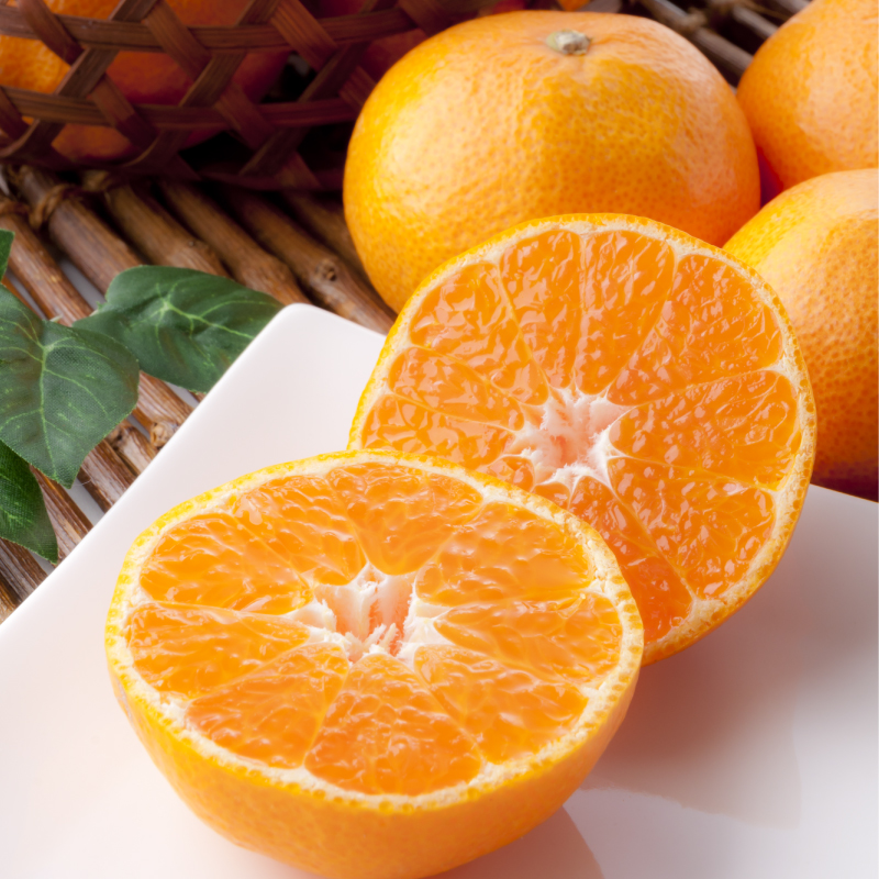 【2025年11月以降毎月発送】【定期便全6回】えひめかんきつ定期便 みかん 定期便 紅まどんな 伊予柑 いよかん デコポン 定期便 せとか 定期便 河内晩柑 国産 フルーツ 果物  定期便 オススメ 人気 愛媛 松前町  松前町おすすめ