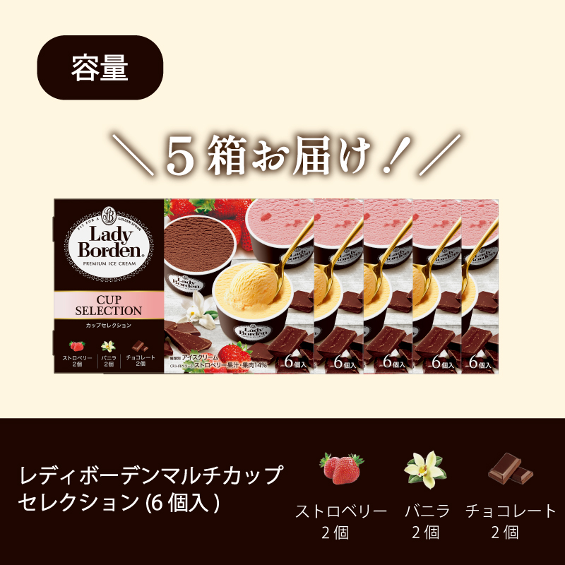  ロッテ レディーボーデン マルチ カップ セレクション ｜ レディーボーデン アイス セット 詰め合わせ バニラ チョコレート ストロベリー アイスクリーム 愛媛県 松前町