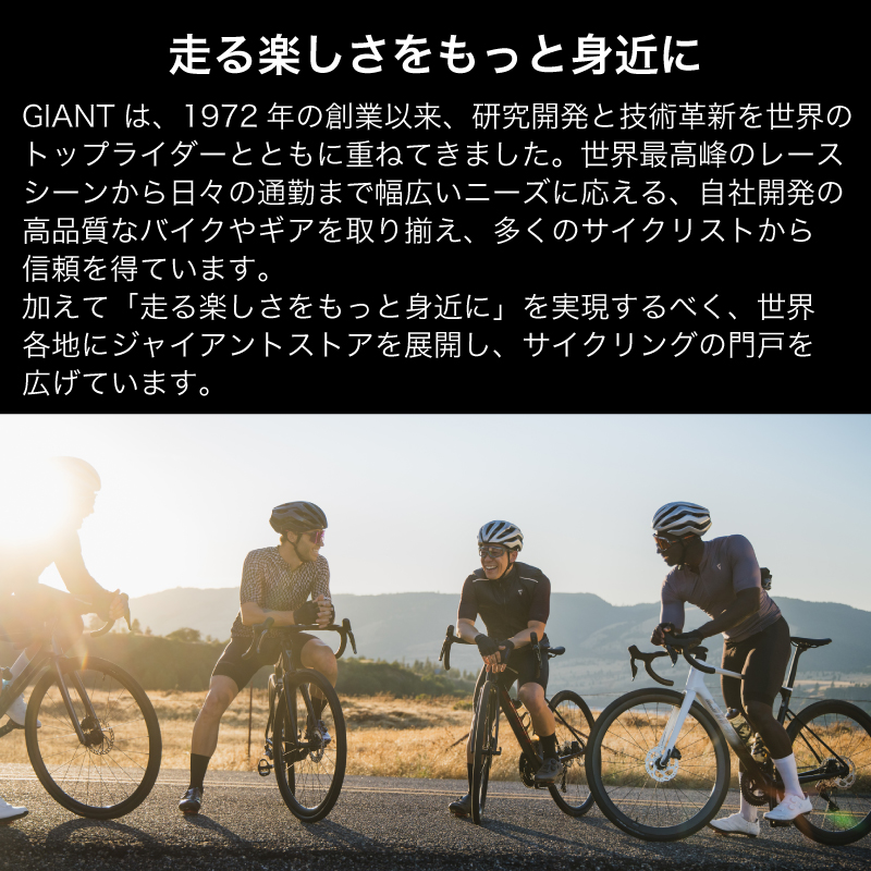 【フレームのみ】GIANT TCR ADVANCED SL FRAMESET（カラー：Polar Tide）｜  ジャイアント ロードバイク 自転車 レース カーボン 東レ Polar Tide ¥2,000,000