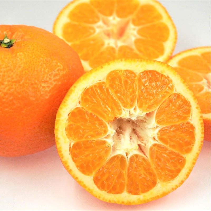 【2025年11月以降毎月発送】【定期便全6回】えひめかんきつ定期便 みかん 定期便 紅まどんな 伊予柑 いよかん デコポン 定期便 せとか 定期便 河内晩柑 国産 フルーツ 果物  定期便 オススメ 人気 愛媛 松前町  松前町おすすめ