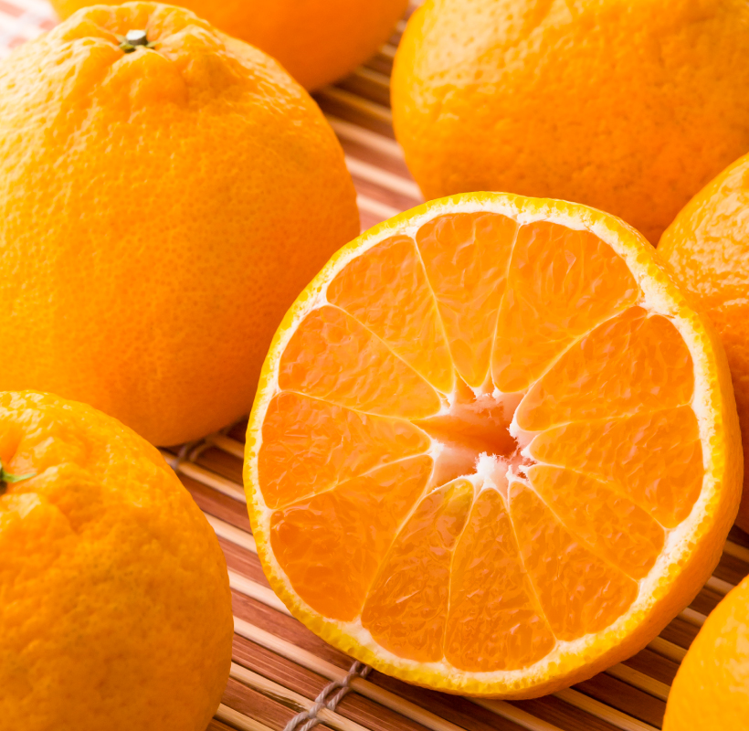 【2025年11月以降毎月発送】【定期便全6回】えひめかんきつ定期便 みかん 定期便 紅まどんな 伊予柑 いよかん デコポン 定期便 せとか 定期便 河内晩柑 国産 フルーツ 果物  定期便 オススメ 人気 愛媛 松前町  松前町おすすめ