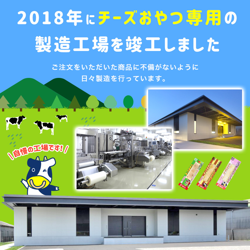 チーズおやつカマンベール 48本入り × 3箱 チーズ おやつ カマンベール ご褒美 ドンキ 個包装 手軽 人気 おすすめ 子供 大人 おつまみ スナック 愛媛県 松前町
