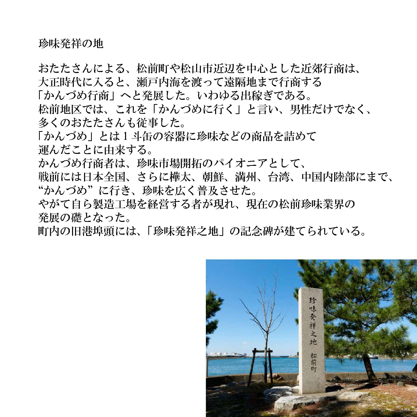 【農林水産大臣賞 受賞】愛媛県産 野菜イリコ ベジリコ 5袋セット