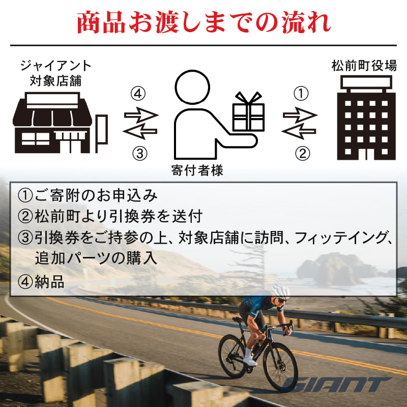 【フレームのみ】GIANT PROPEL ADVANCED SL FRAMESET（カラー：Holy Flare）｜  ジャイアント ロードバイク 自転車 レース カーボン 東レ Holy Flare ¥2,200,000