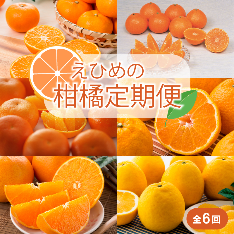 【2025年11月以降毎月発送】【定期便全6回】えひめかんきつ定期便 みかん 定期便 紅まどんな 伊予柑 いよかん デコポン 定期便 せとか 定期便 河内晩柑 国産 フルーツ 果物  定期便 オススメ 人気 愛媛 松前町  松前町おすすめ