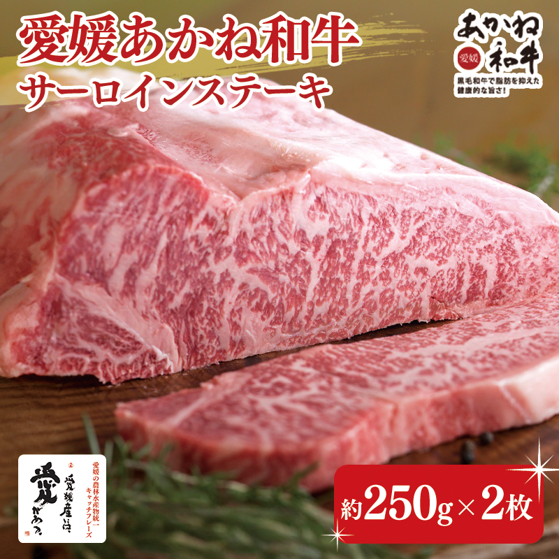 愛媛あかね和牛サーロインステーキ（約250ｇ×2枚） | 国産 和牛 牛肉 ブランド牛 ステーキ 焼肉 冷蔵 愛媛県 松前町 250g×2枚