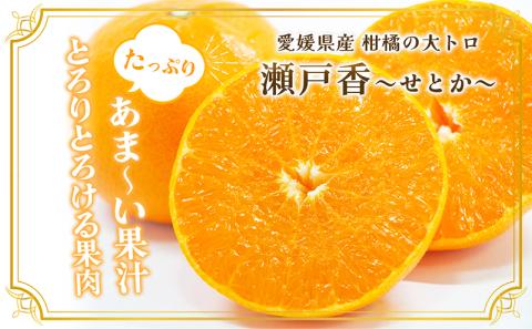【数量限定　先行予約】せとか（青秀）3kg 3L～L JA正規品 2026年1月～順次発送＜旬 甘い みかん 蜜柑 柑橘 かんきつ 高級 ギフト 愛媛県 農協 JA直送 フルーツ 果物 くだもの スイーツ＞