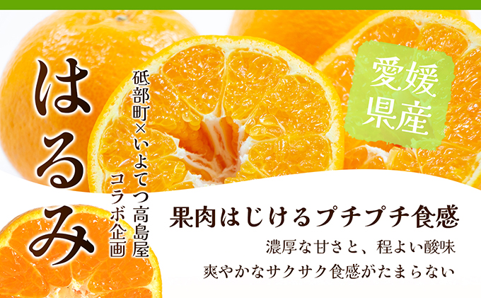 【数量限定 先行予約】愛媛県産 はるみ 約5kg[50R0824] 【高島屋選定品】秀M～２Lサイズ 1月下旬頃～順次発送＜ギフト 高級 甘い みかん フルーツ＞ [No.5310-0044]