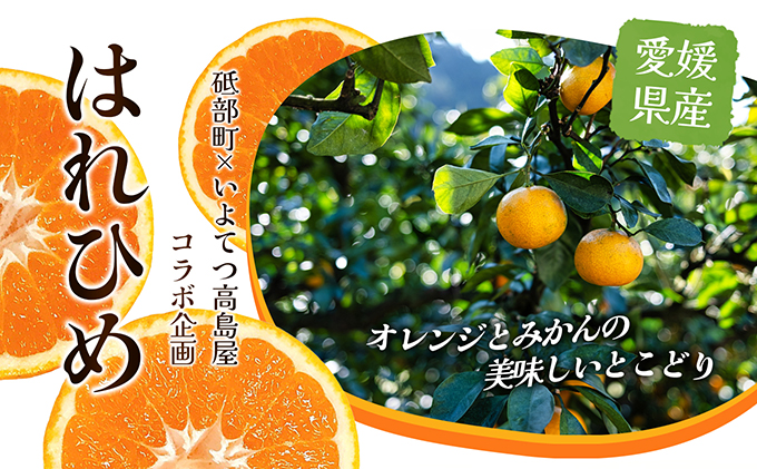 【数量限定 先行予約】愛媛県産 はれひめ 約5kg[50R0813] 【高島屋選定品】M～2L サイズ＜ギフト 甘味 濃厚 みかん フルーツ＞