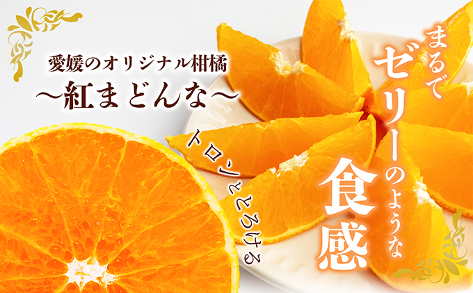 【数量限定 先行予約】愛媛県産紅まどんな（赤秀限定）2.7kg[50R0975] 【高島屋選定品】 赤秀L～3Lサイズ（10～15玉）11月下旬頃～順次発送 ＜ギフト 正規品 甘い みかん フルーツ＞