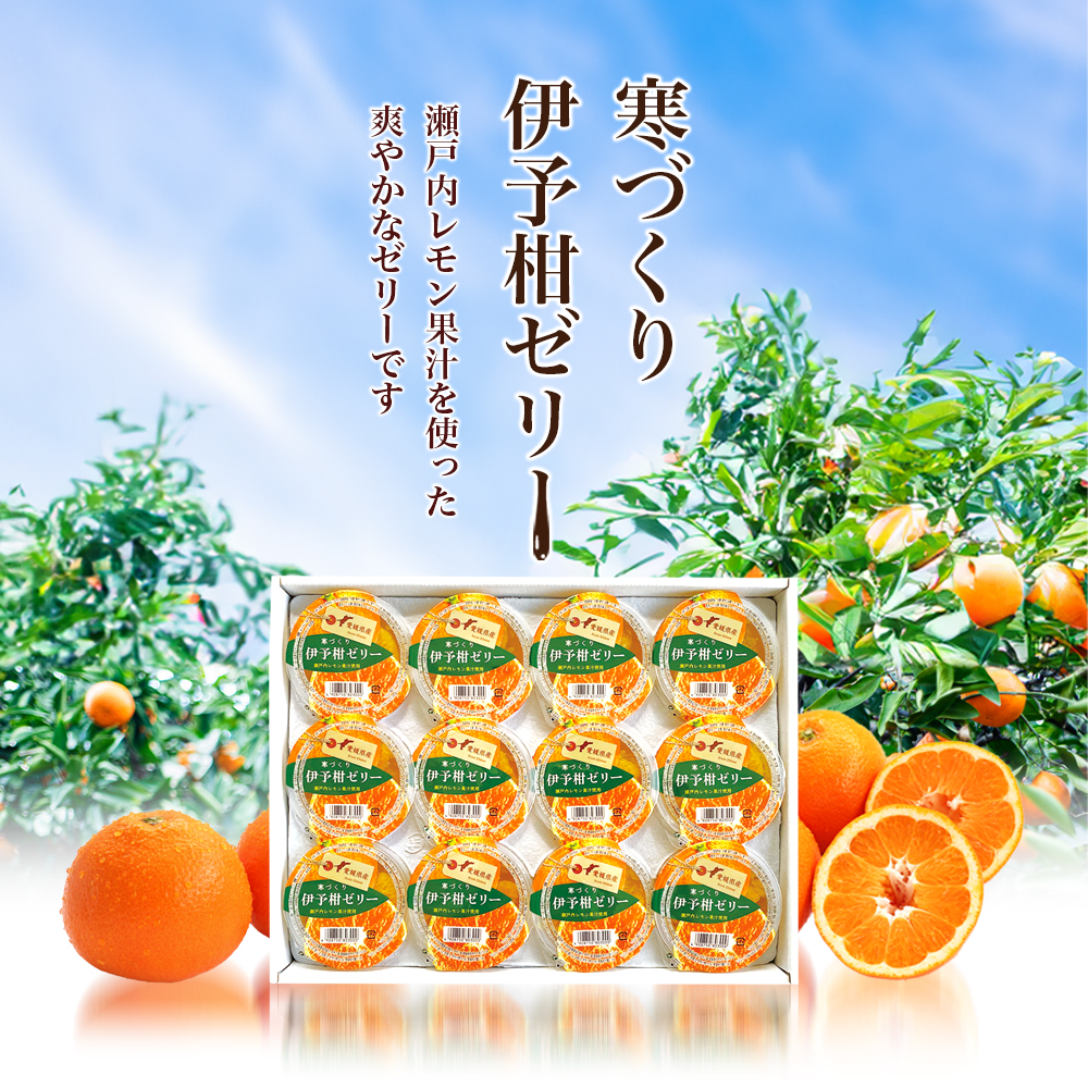 カップゼリー寒づくり伊予柑詰め合わせ12個セット No.18【柑橘 ゼリー 果肉 果実 果汁 果物 フルーツ 国産 愛媛県産 スイーツ おやつ ギフト お中元】