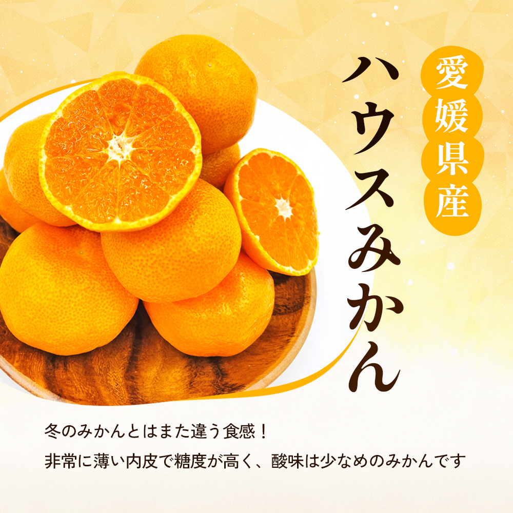 〈夏季限定！申込8/17まで〉温室育ちの温州みかん2.0kg(約15～25個)【甘い 夏のミカン オレンジ ハウスみかん 早生 冷やして 柑橘 フルーツ 果物 愛媛 砥部 JA 7月 8月 9月 ギフト 贈答