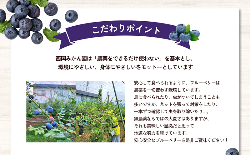 愛媛県砥部町産とれたて新鮮でお届け！生ブルーベリーおためしサイズ110ｇ×4パック　【期間限定～7/15まで】 冷蔵 甘い アントシアニン デザート フルーツ ヨーグルト スムージー 生 まるごと おやつ 今が旬