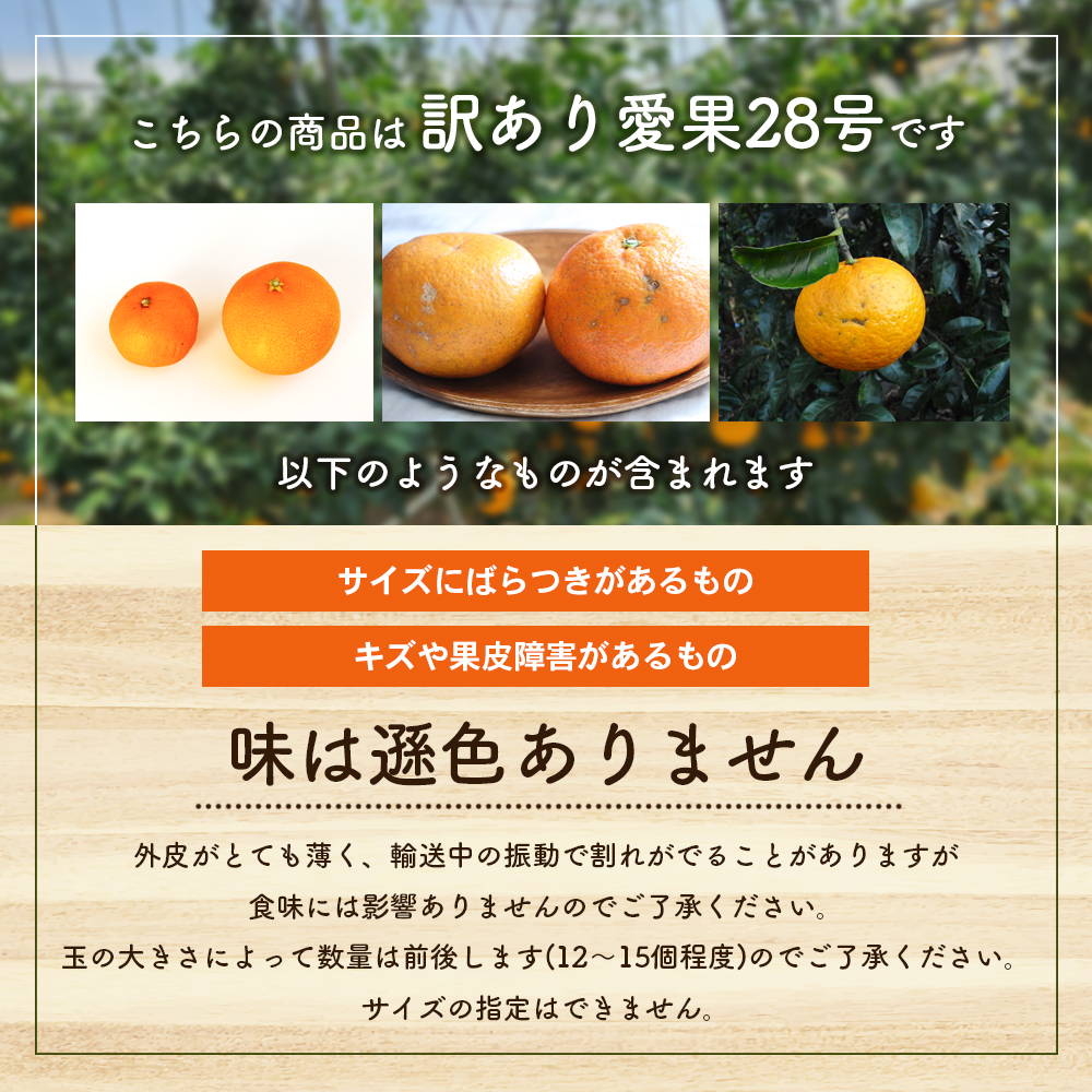 【数量限定】訳あり「愛果28号」約5kg バラ詰め 〈訳あり ワケあり ふぞろい 家庭用 愛果28号 みかん 柑橘 甘味 ゼリー 愛媛 砥部町〉