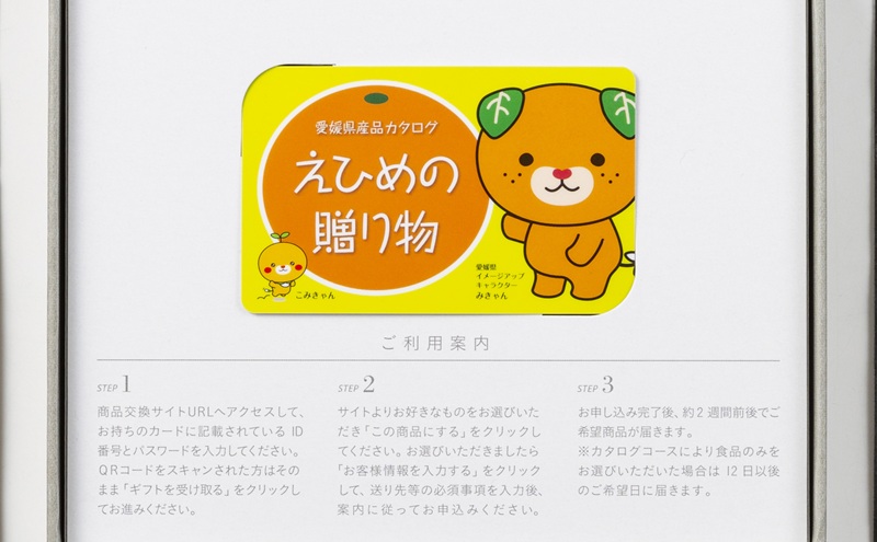 カタログギフト「えひめの贈り物」こみきゃん（全34品から選択）【愛媛県 厳選 特産品 あとから 選べる オンライン注文 グルメ 食品 工芸品 みかん レモン しらす 砥部焼 贈答 プレゼント お土産 化粧箱入り】