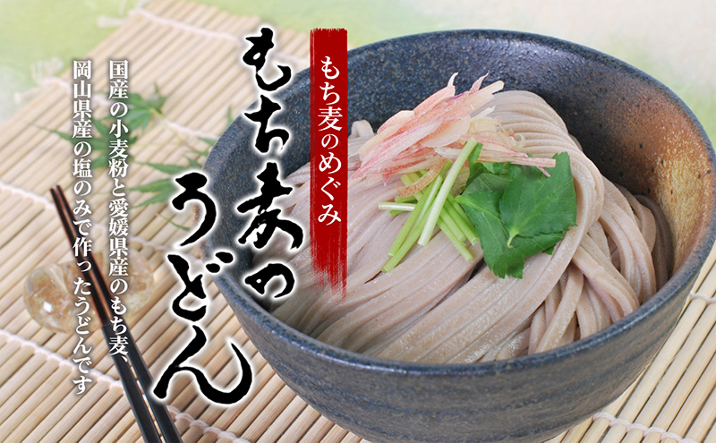 もち麦のうどん(200g×20袋)40食分【愛媛県産もち麦 練り込み 常温 長期保存可 詰合せ 食物繊維 もちもち 食感 冷 温 おすすめ】