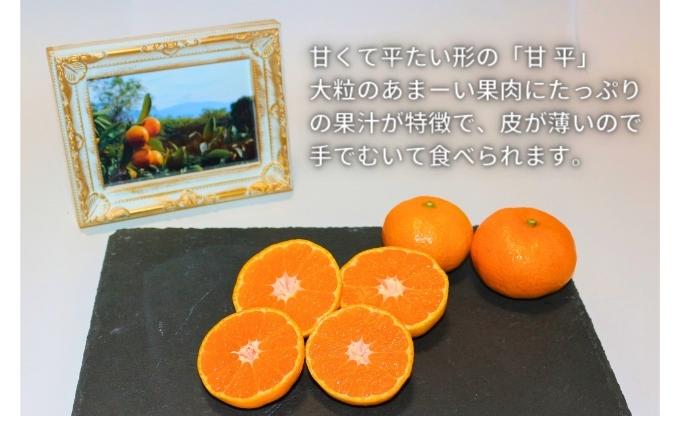 【数量限定　先行予約】訳あり甘平サイズ不揃い約3キロ家庭用　１月上旬頃～順次発送〈産地直送　愛媛県　甘い　みかん　フルーツ〉