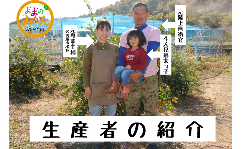 【数量限定　先行予約】訳ありせとかサイズ不揃い約3キロ家庭用 ２月下旬頃～順次発送〈産地直送　愛媛県　甘い　みかん　フルーツ〉