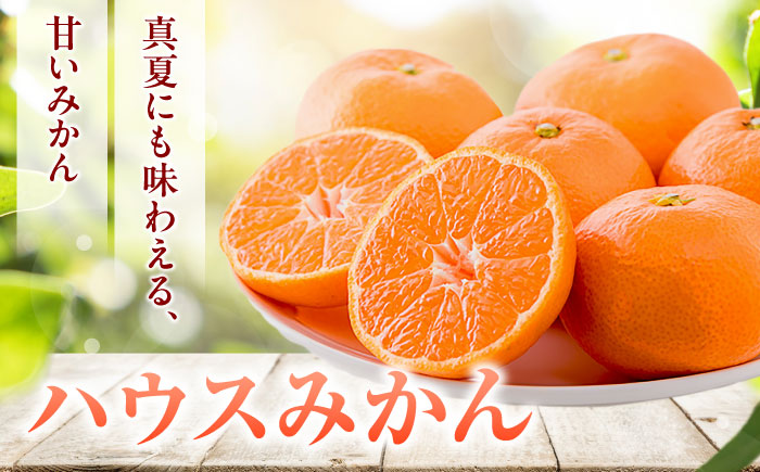 ハウスみかん 2kg 【7月下旬から9月下旬まで順次発送】 / フルーツ 果物 蜜柑 ミカン オレンジ 小玉 甘い 先行予約 2kg 愛媛 / 愛媛県砥部町/株式会社フジ・アグリフーズ [BJBI001]