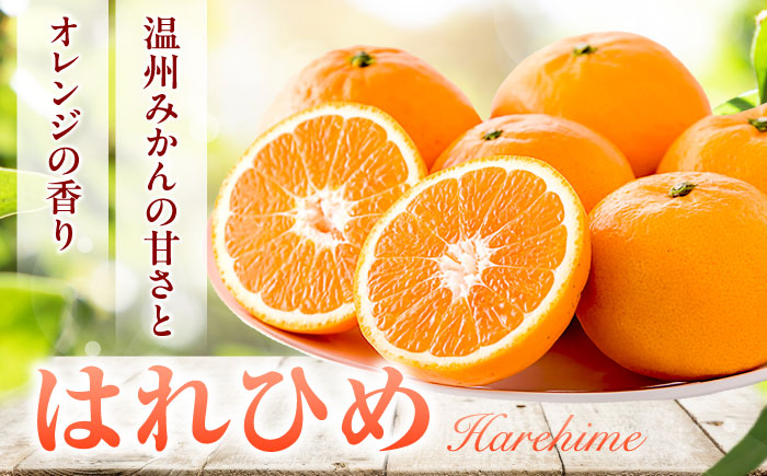 はれひめ 約2.5kg M-2Lサイズ【12月上旬から翌年1月上旬まで順次発送】 / フルーツ 果物 蜜柑 ミカン オレンジ 甘い 先行予約 約 3kg 愛媛 / 愛媛県砥部町/株式会社フジ・アグリフーズ [BJBI004]