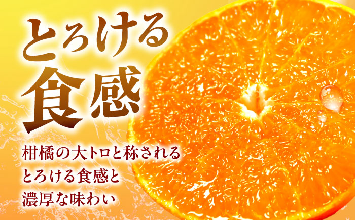 せとか L-3Lサイズ 約2.5kg【2月中旬から3月中旬まで順次発送】 / フルーツ 果物 蜜柑 ミカン オレンジ 小玉 甘い 先行予約 約 3kg 愛媛 / 愛媛県砥部町/株式会社フジ・アグリフーズ [BJBI006]
