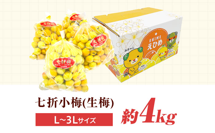 梅 七折小梅(生梅) 4kg 【5月中旬から6月下旬まで順次発送】 / 先行予約 梅干し 梅酒 梅ジュース 梅シロップ / 愛媛県砥部町/株式会社フジ・アグリフーズ [BJBI012]