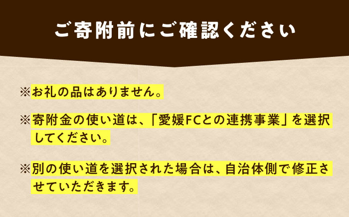 支援 えひめまるごと活性化プロジェクト 愛媛FC連携事業 100,000円【返礼品なし】 / ふるさと納税 寄附 支援 愛媛FC 連携事業 10万円 地方創生 まちづくり / 愛媛県砥部町/砥部町 [BJCA004]