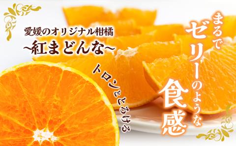 【100箱限定！申込11/20まで】愛媛県産 紅まどんな「赤秀」JA正規品 約3kg 10玉～15玉入り 数量限定 12月～順次発送＜柑橘 甘い 高級 極上 JA直送 正規みかん 愛果28号＞