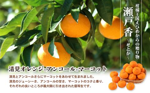 【数量限定　先行予約】せとか（青秀）3kg 3L～L JA正規品 2026年1月～順次発送＜旬 甘い みかん 蜜柑 柑橘 かんきつ 高級 ギフト 愛媛県 農協 JA直送 フルーツ 果物 くだもの スイーツ＞