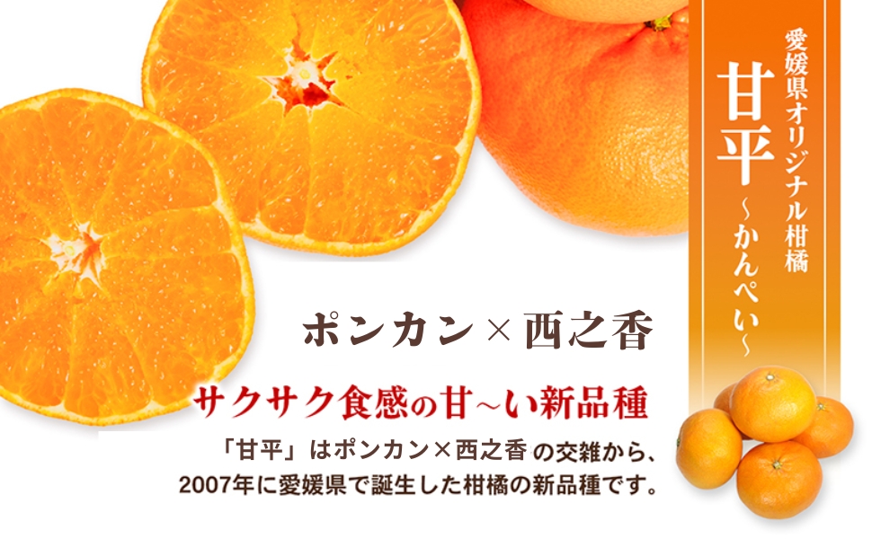 愛媛県産JA正規品 甘平（かんぺい）（青秀）約3ｋg 3L～L（2026年1月～順次発送）【旬にお届け 甘い みかん 蜜柑 柑橘 かんきつ 高級 先行予約】 果物類 フルーツ ポンカン 交配 オリジナルブランド 簡単 皮 濃厚 上品