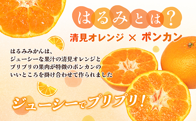 【数量限定 先行予約】愛媛県産 はるみ 約5kg[50R0824] 【高島屋選定品】秀M～２Lサイズ 1月下旬頃～順次発送＜ギフト 高級 甘い みかん フルーツ＞ [No.5310-0044]
