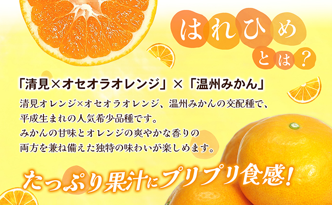 【数量限定 先行予約】愛媛県産 はれひめ 約5kg[50R0813] 【高島屋選定品】M～2L サイズ＜ギフト 甘味 濃厚 みかん フルーツ＞