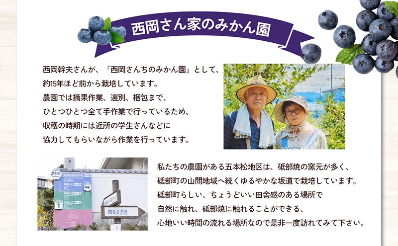 愛媛県砥部町産とれたて新鮮でお届け！生ブルーベリー110ｇ×10パック【期間限定～7/10まで】 冷蔵 甘い アントシアニン デザート フルーツ ヨーグルト スムージー 生 まるごと おやつ 今が旬