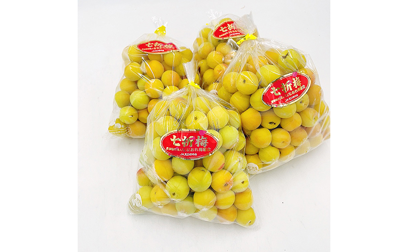 七折小梅（生梅）４kg※2025年5月下旬～６月下旬頃から順次発送【先行予約 数量限定 砥部町 愛媛県 名産品 加工用 梅干し 梅酒 梅ジュース 梅シロップ 梅干しコンクール優秀賞 貴重】