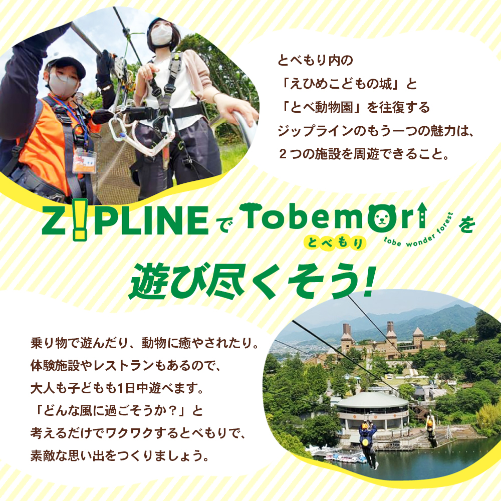 とべもりジップライン往復体験チケット（えひめこどもの城スタート） 四国最大級 全長730ｍ アウトドア 外遊び スポーツ 動物園 公園 遊園地 レジャー スライド ダイナミック 周遊